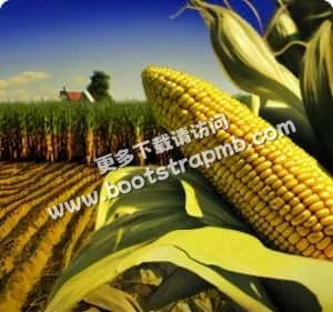 为球迷打造最值得信赖的足球信息服务 - 抓饭直播bojun